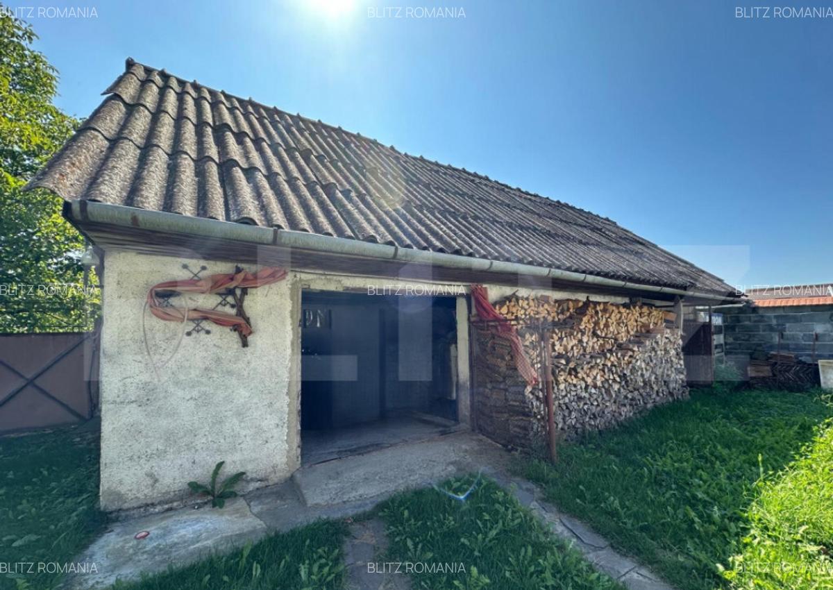Casa saseasca de vanzare, curte, gradina, teren 3000 mp - Ji - 10