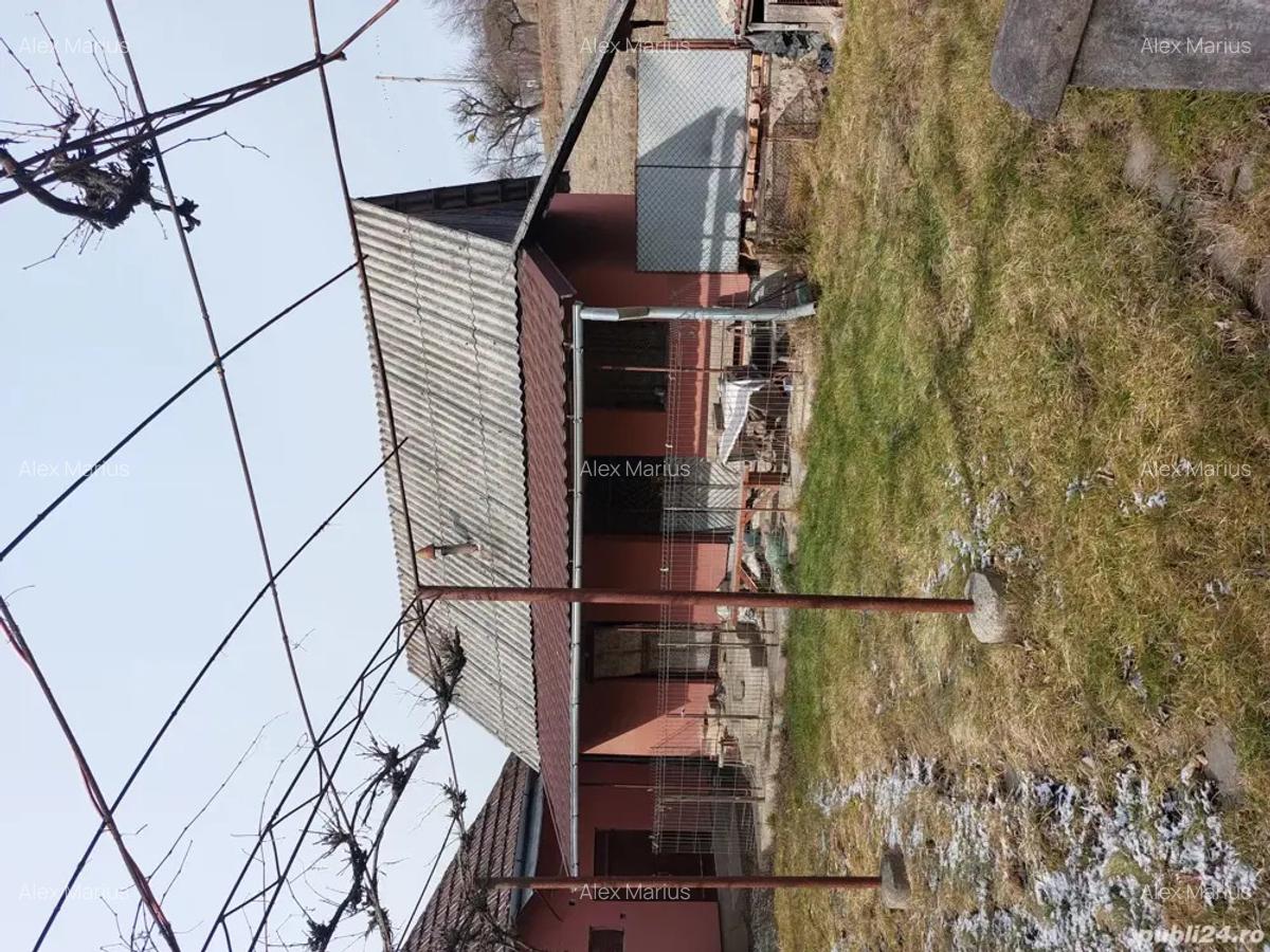 Vand casa in Valea Crisului - 3