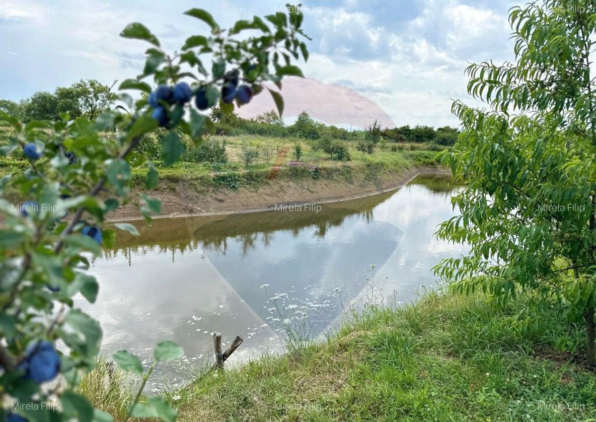 TEREN DE VANZARE - 29,656mp Bozanta Mica - 7