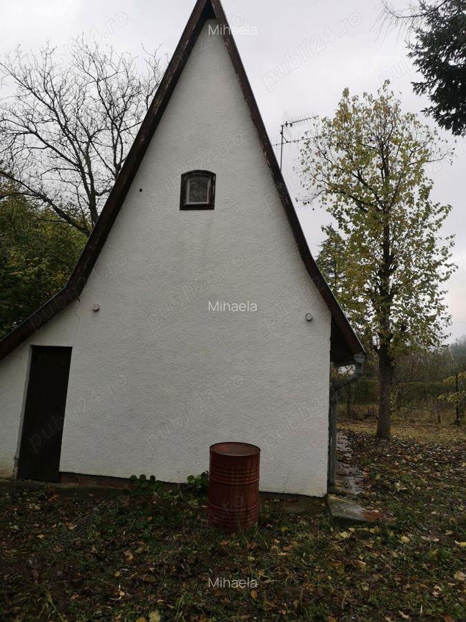 Vand casa de vacanta - 7