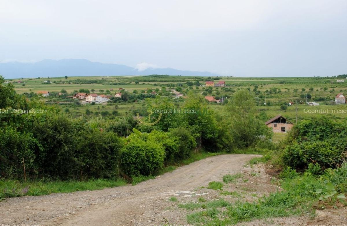 Teren 1,500 mp, vedere panoramica, Sibiu-Daia Noua - 6