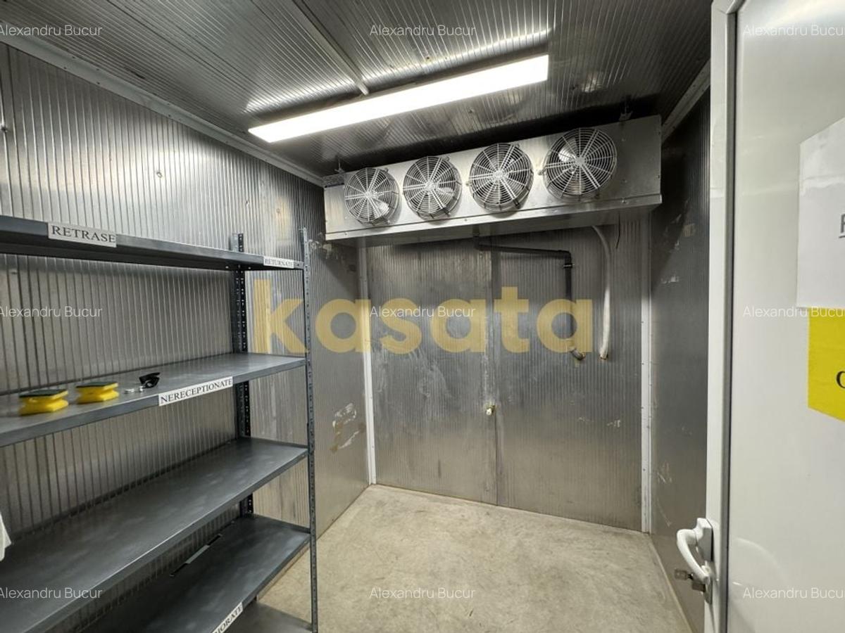 Birouri + Depozit (Standard Pharma) – Acces Rapid Centura București - 4