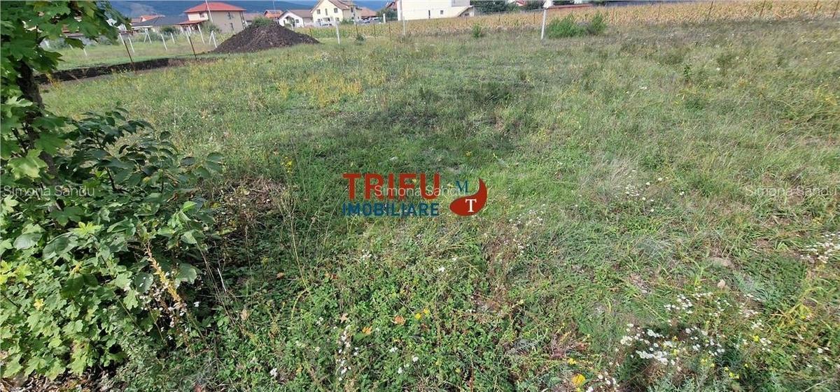 Teren intravilan construibil de vanzare 510 mp zona Orizont - 1