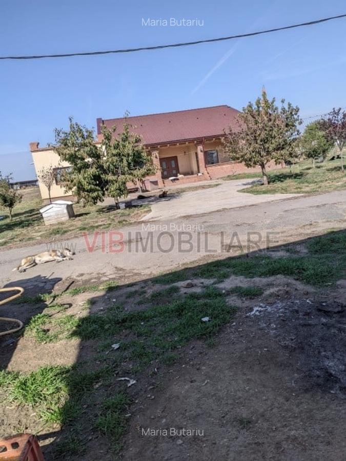 Ferma Zootehnică Mixtă – Cernateaz, Timiș | 9,5 ha | Hale Moderne, Casă 20 - 8