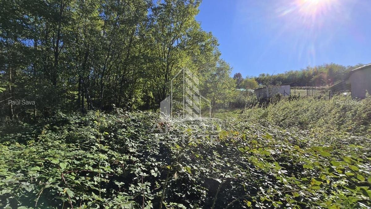 Teren Intravilan Cuied 3260 mp - 1