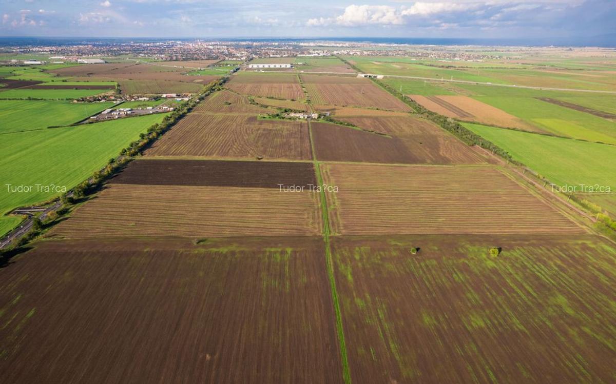 Teren de 100000 mp in Arad - 5 Teren de 100000 mp in Arad - 5