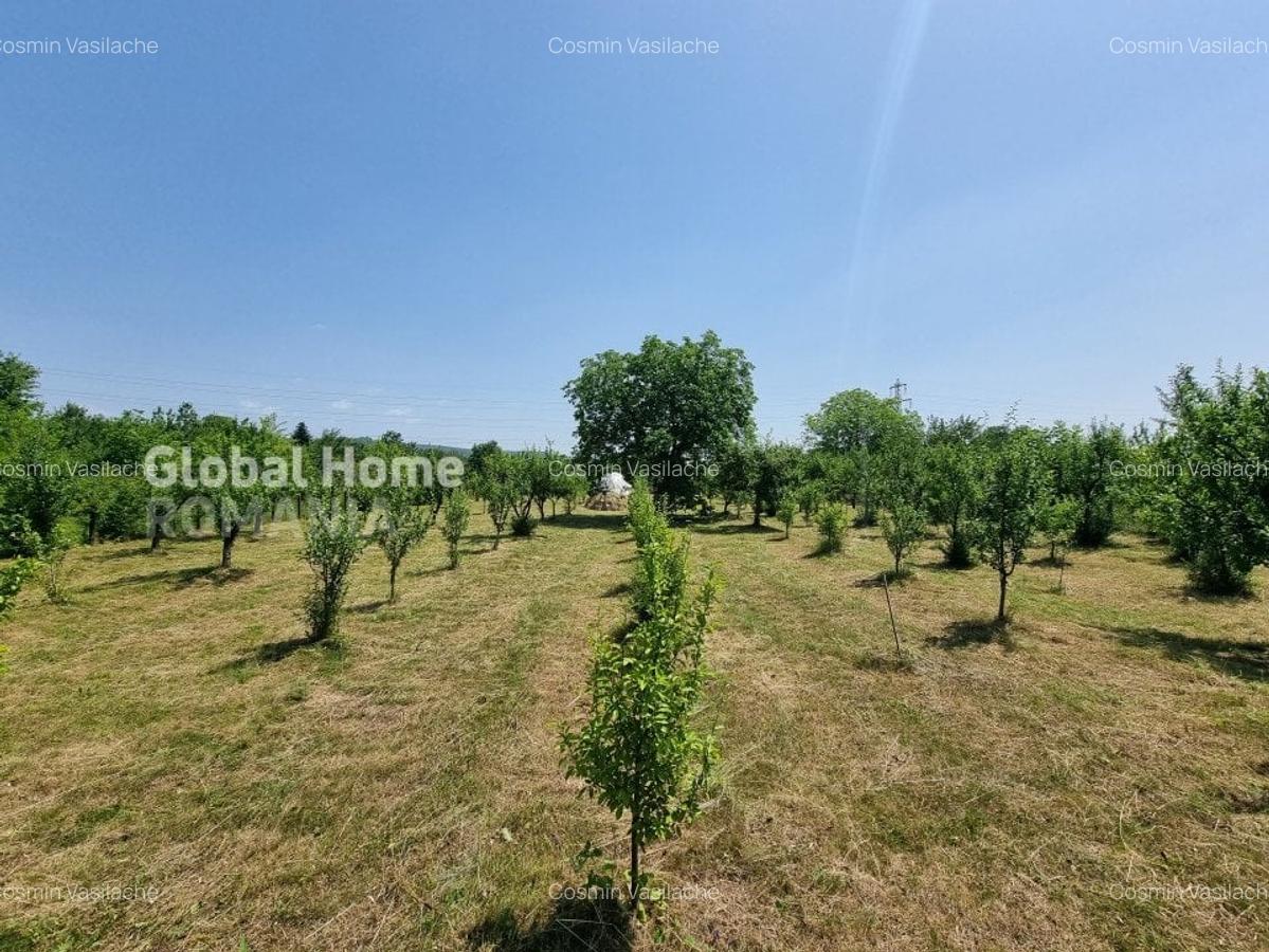 1000MP Teren Intravilan | Prahova - Cornu De Jos | Toate Utilitatile Prezente - 5