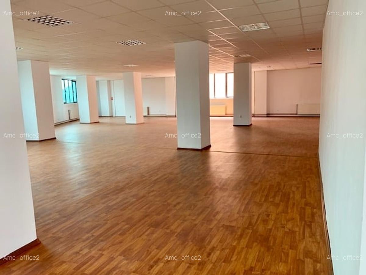 Oferta! 9 euro/mp( inclusiv mentenanta si tva) 200-3000 mp zona Politehnica - 4