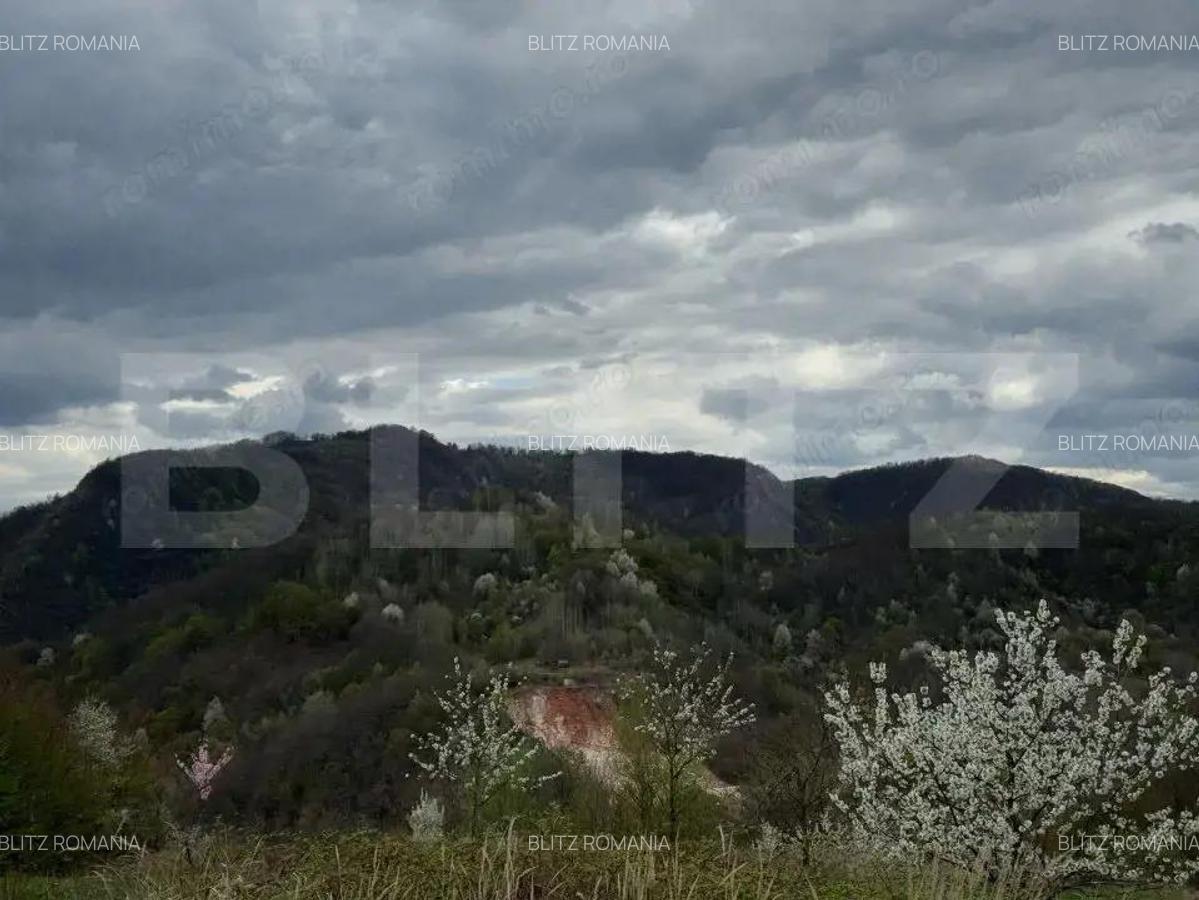 Vand casa cu 1 ha de livada in Carmazanesti - 1