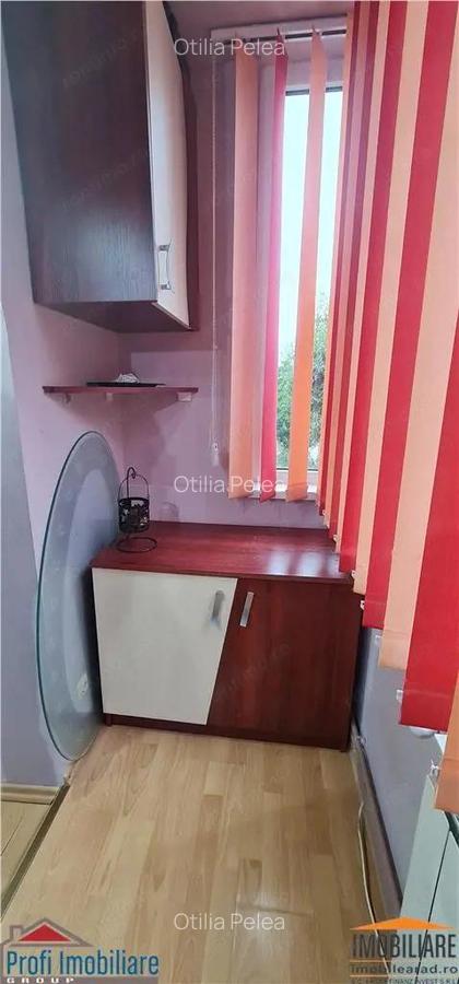 Apartament 2 camere zona Micalaca langa zona 300 - 13