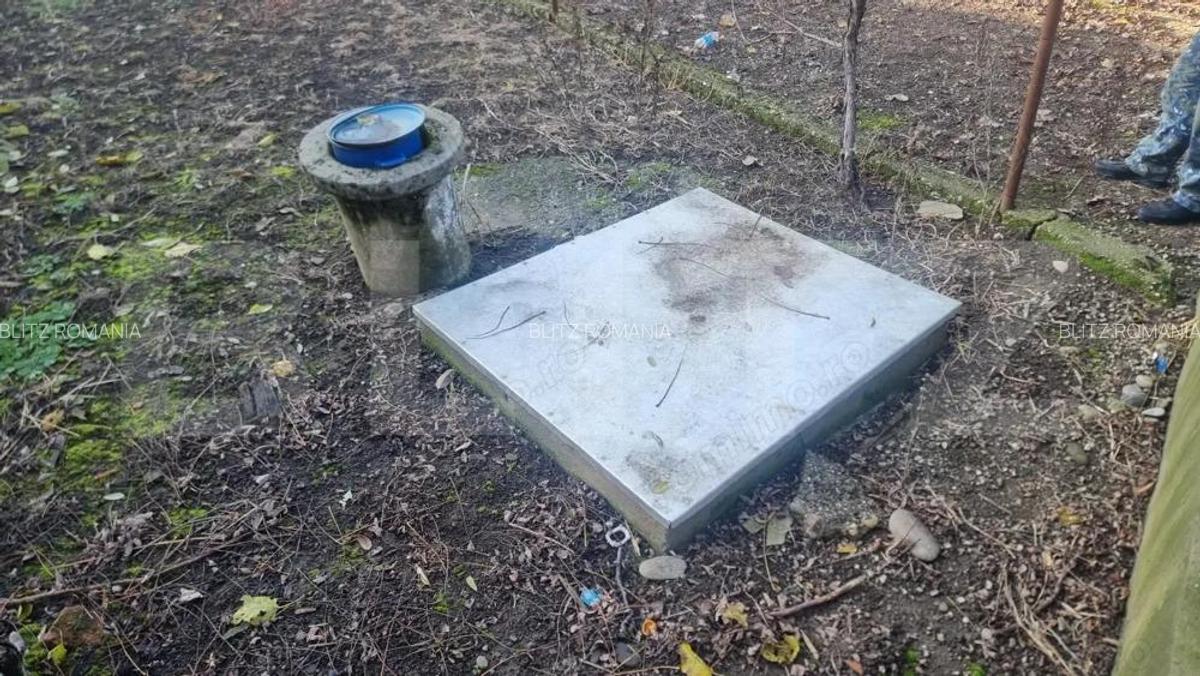 Pachet complet: casa + 800 mp Cocorastii Colt - 12