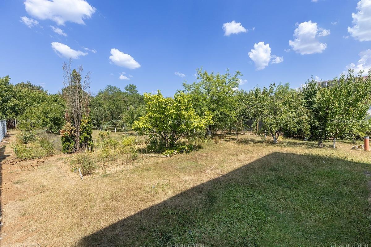 Balotești, 5 Camere, 200 mp utili, 1250 mp, într-o locație rară - 30