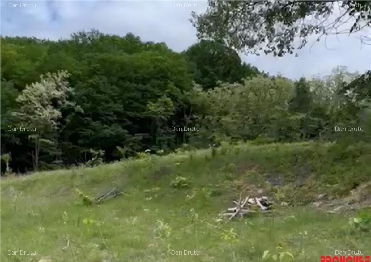 Valea Budului - Teren intravilan. Lac. Padure - 13