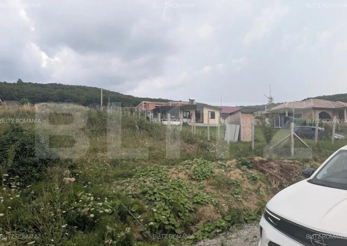 Teren construibil de vanzare, 500 mp sau 1000 mp, Dealu Jel - 3