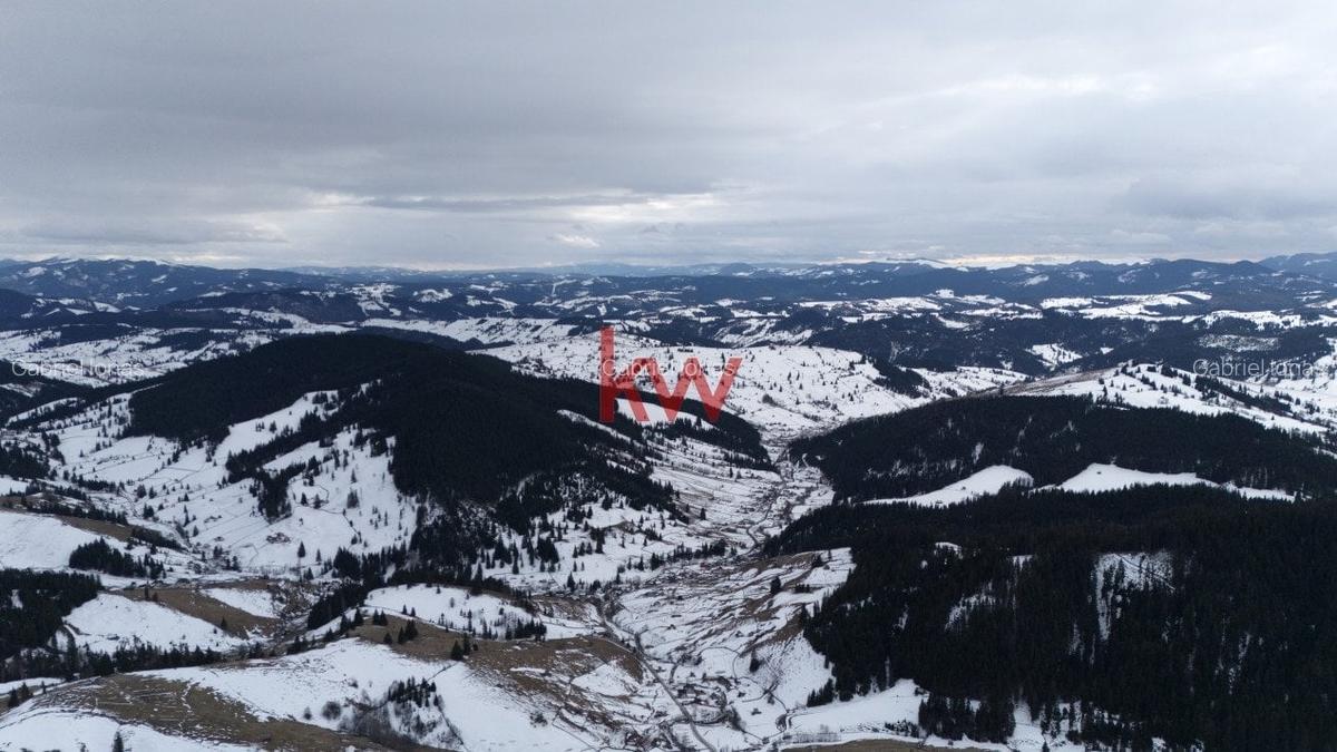 Teren Intravilan 11.844 MP, Breaza, Jud. Suceava - 8