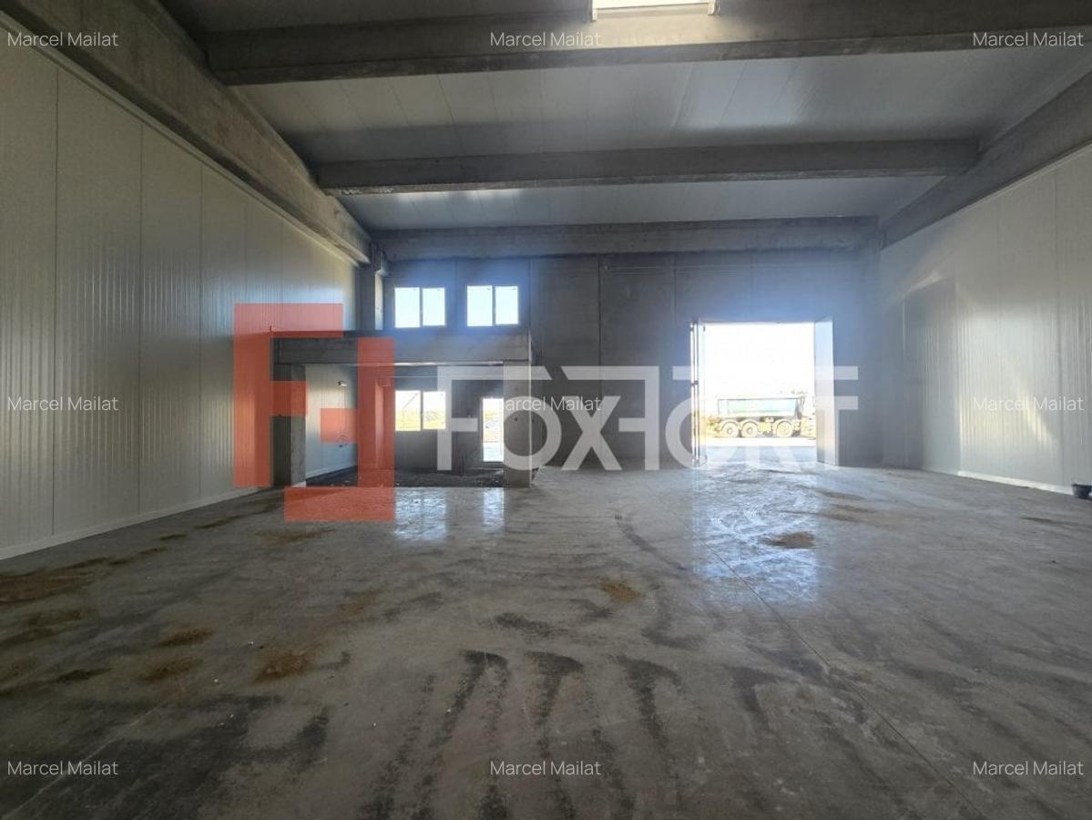 Spațiu industrial, 524 mp în Sânandrei - 5
