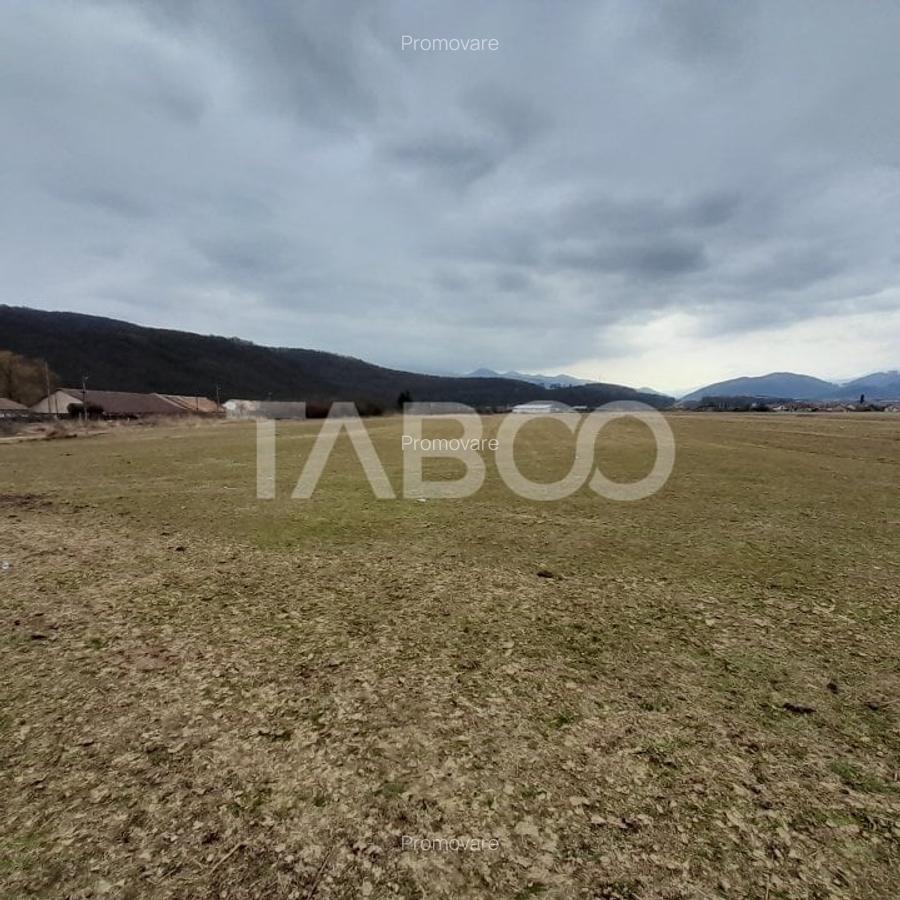 Teren intravilan 11.400 mp deschidere 45 ml in Talmaciu zona de case - 5