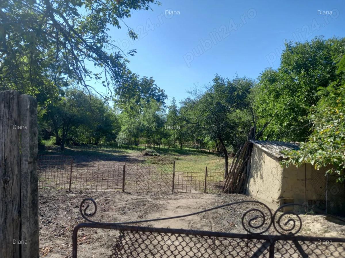 Vand casa Ramnicelu Braila 3000 mp - 5