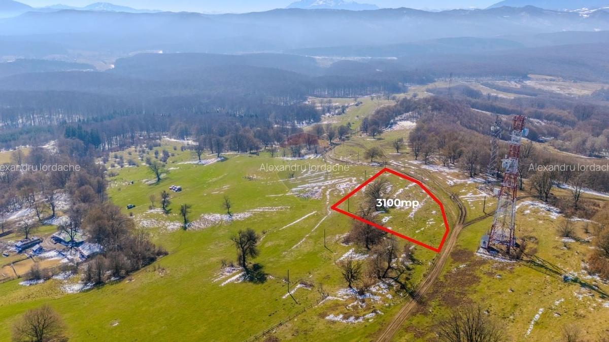 COMISION 0% Teren 3,100mp /Intravilan/ Dumbravita - 4 COMISION 0% Teren 3,100mp /Intravilan/ Dumbravita - 4