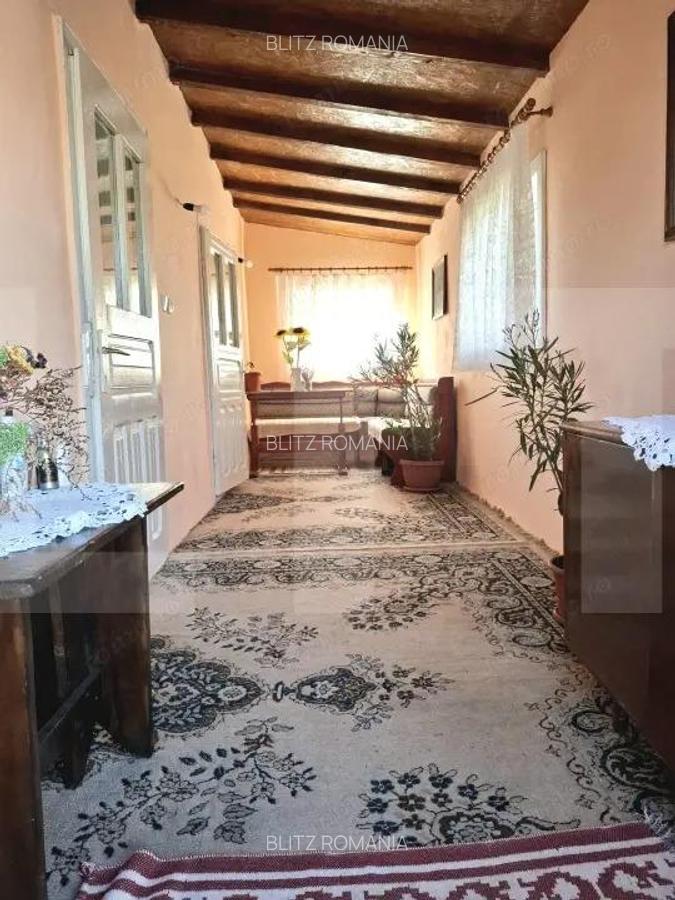 Casa batraneasca cu teren generos, in satul Manastireni lini?te ?i natura - 4 Casa batraneasca cu teren generos, in satul Manastireni lini?te ?i natura - 4