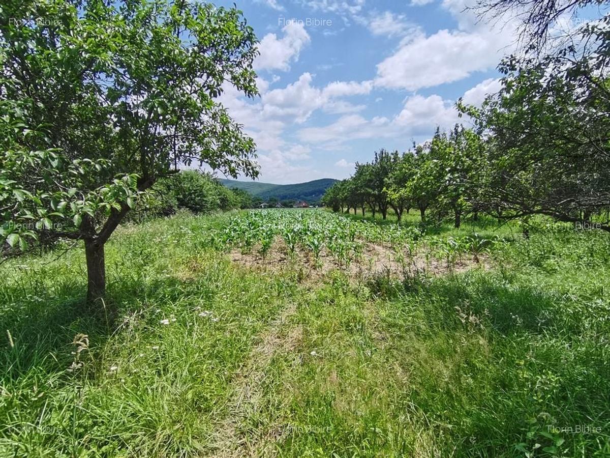 Zona in Expansiune! Teren-5.000 mp/ Arges/Burlusi/Ciofrangeni - 9