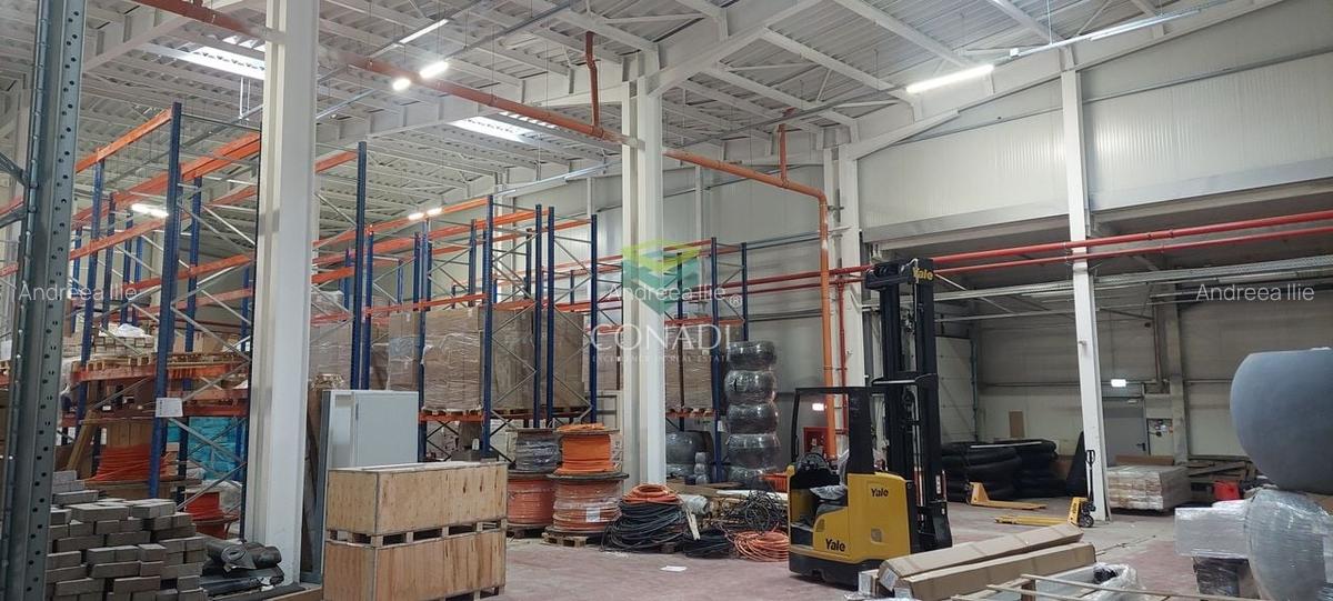 Ready to move in I HALA depozitare si birouri I MOGOSOAIA - 8