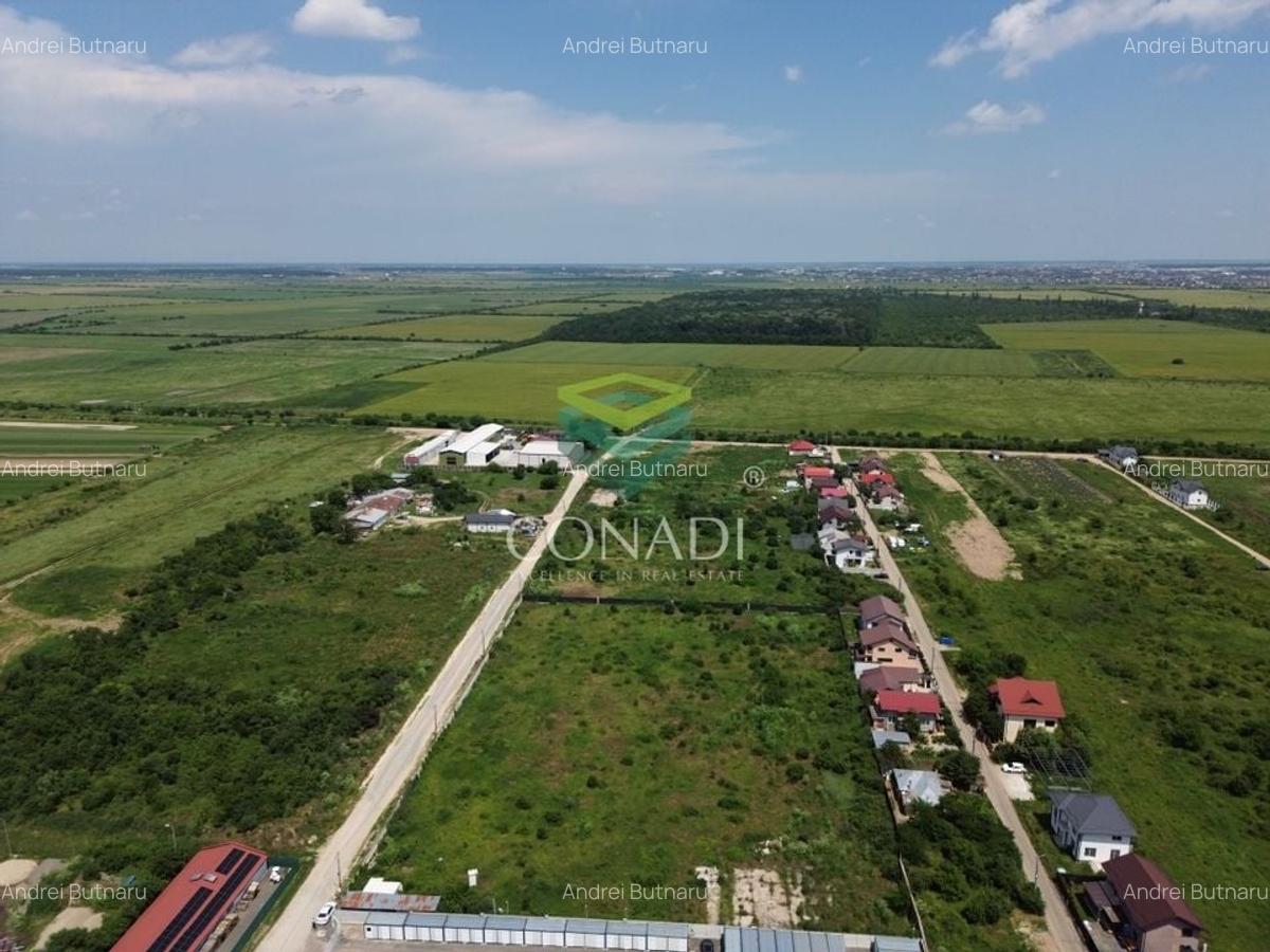Teren Mogosoaia -  6.000 mp - PUZ aprobat pentru vile P+1E - 4