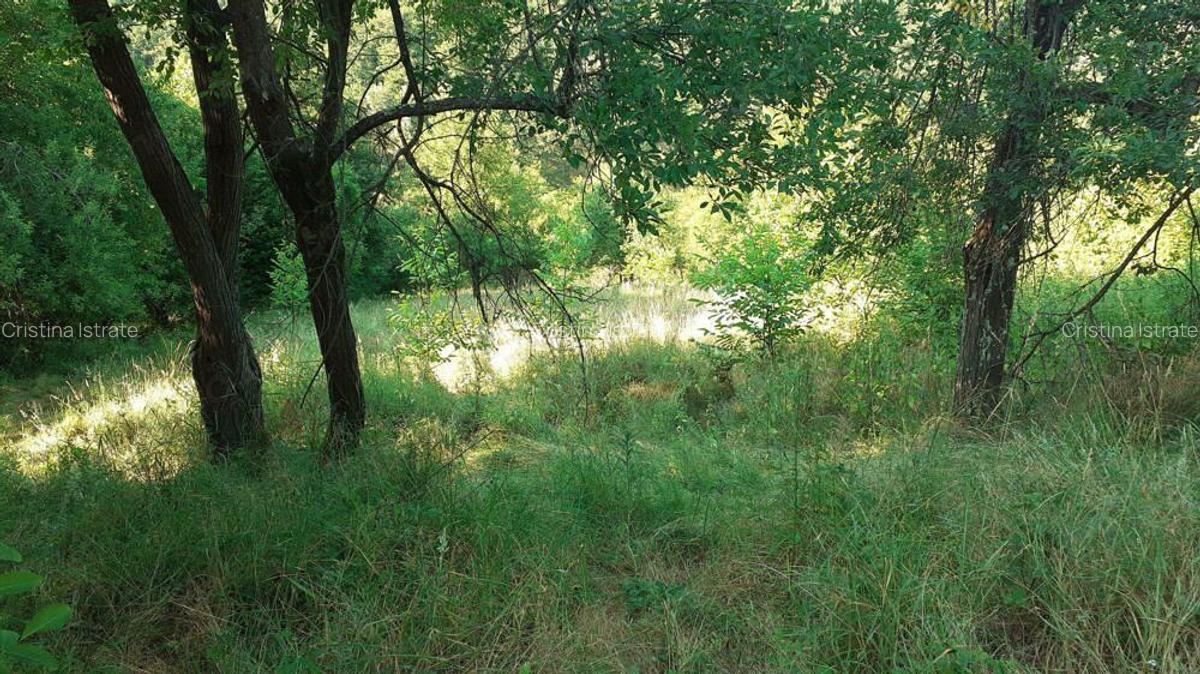 Roscani-Dobra-Teren Cabana-10km A1-Posibilitate Rate - 3