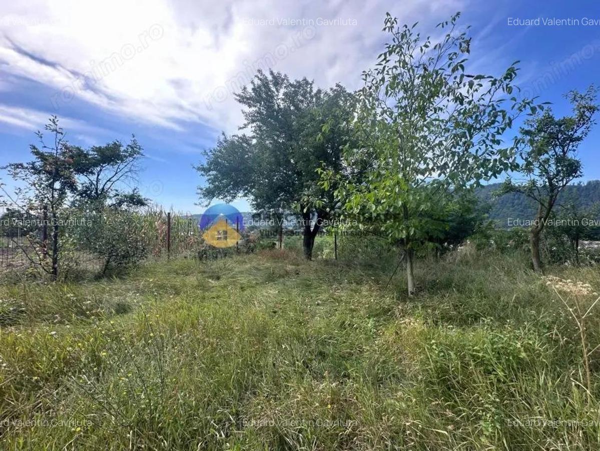 Teren de Vanzare 1172 mp Dumbrava Ro?ie, Neam? - 7