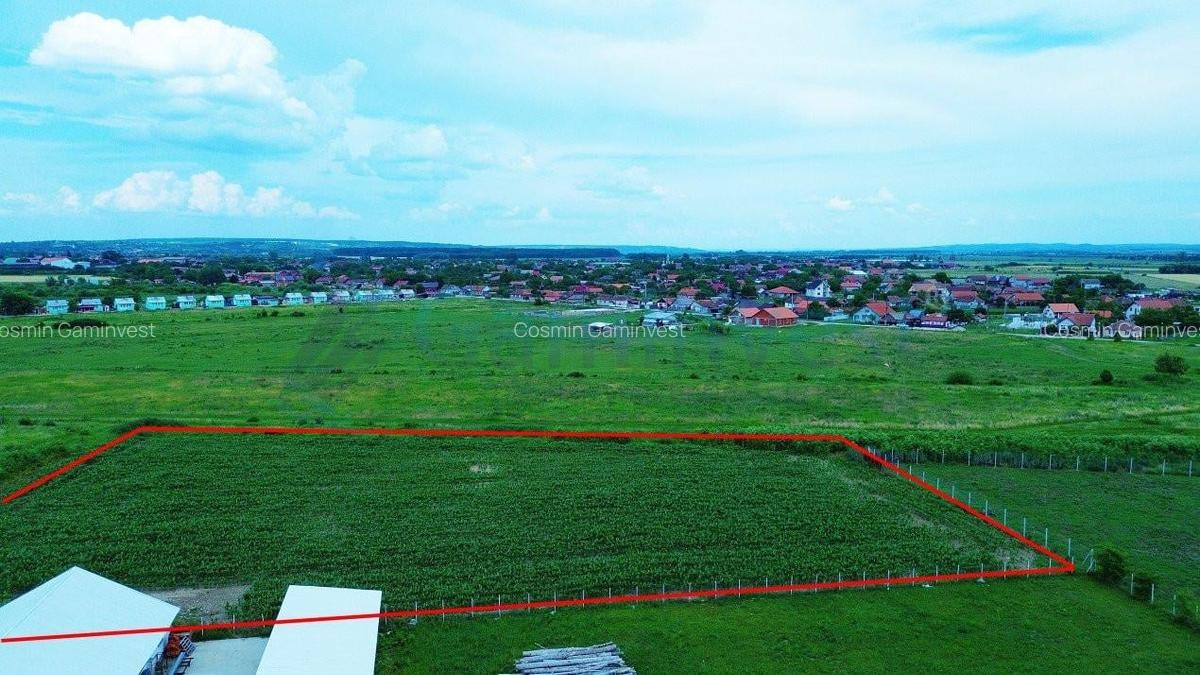 Teren Construcții intravilan de 8000 mp, în Sălard - 1