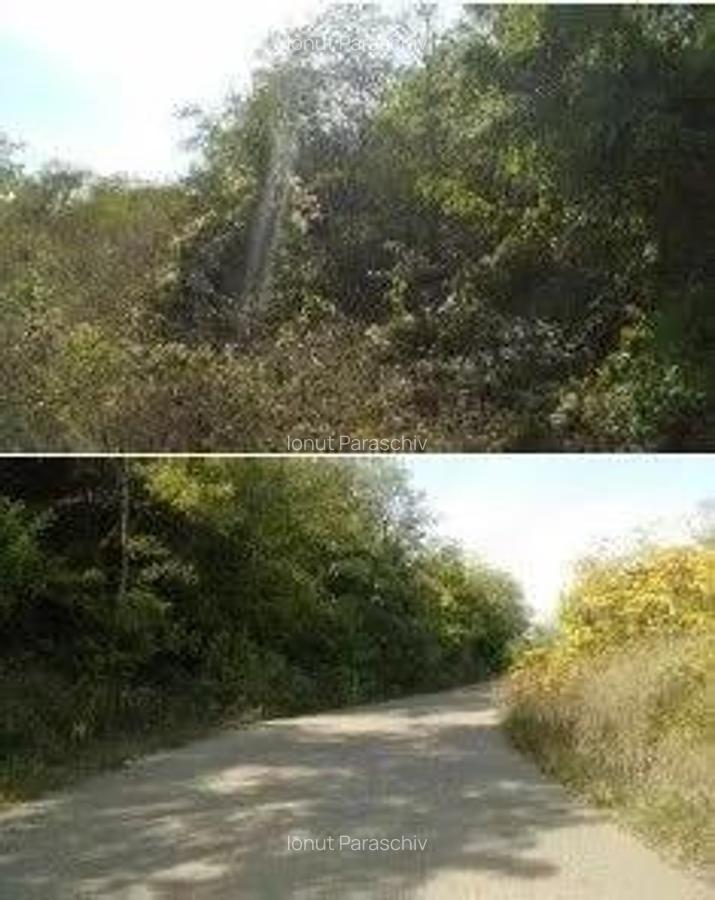 Teren extravilan Tamboesti ; ID: R2832805 - 4