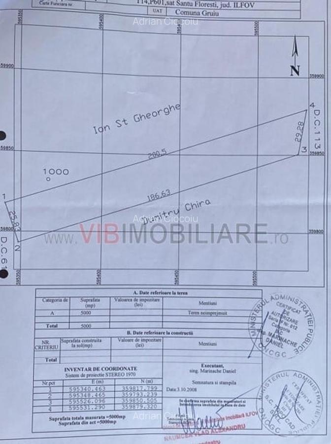 Teren Gruiu - 5000 mp - doua deschideri - intravilan - 4