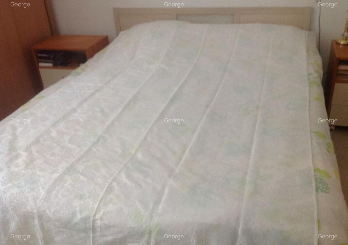 Apartament zona Mitropolie, 3 camere, in Vila - 3