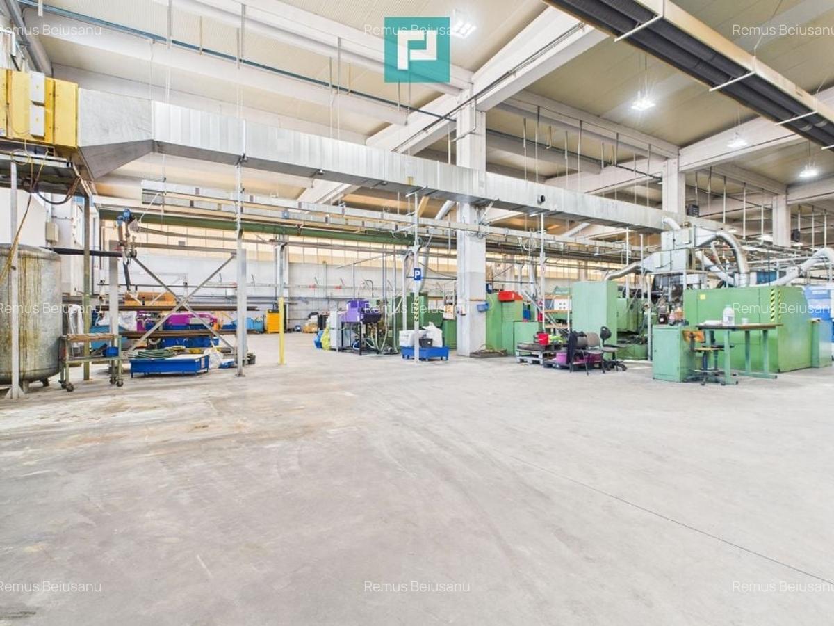 Hală industrială modernă, Șagului - 3