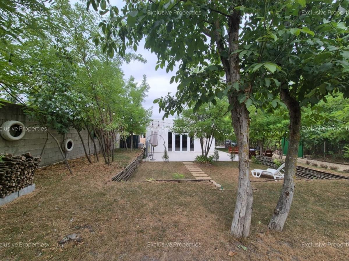 Casa de vacanta / spatiu comercial de vanzare - Frumusani - 13