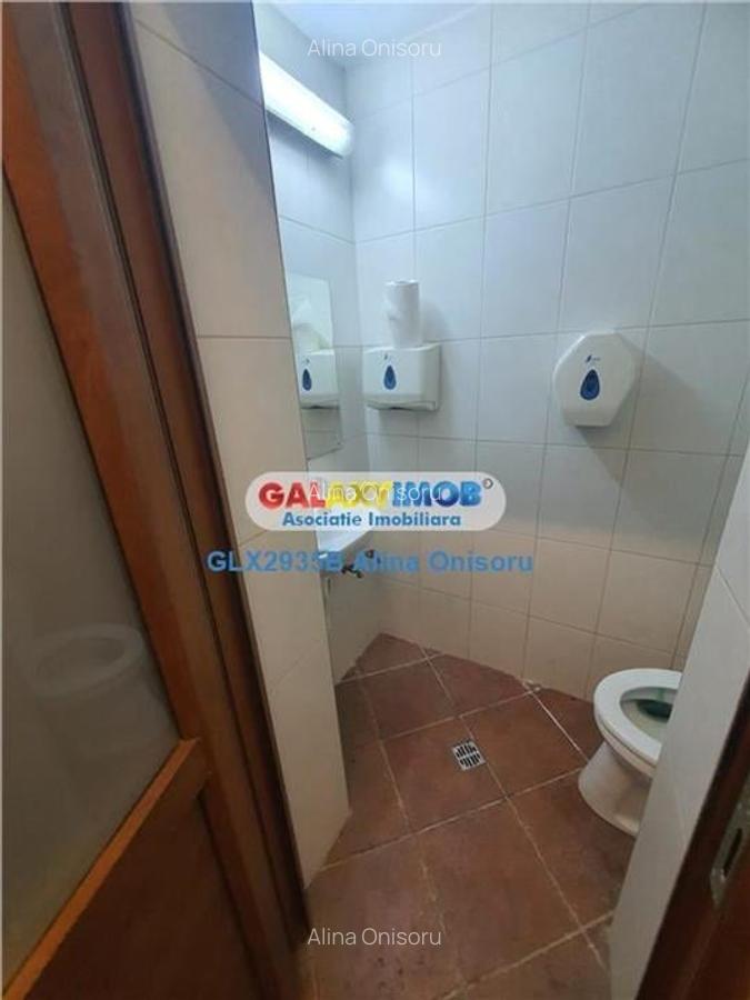 Spatiu comercial 100 mp Moxa Victoriei - 7