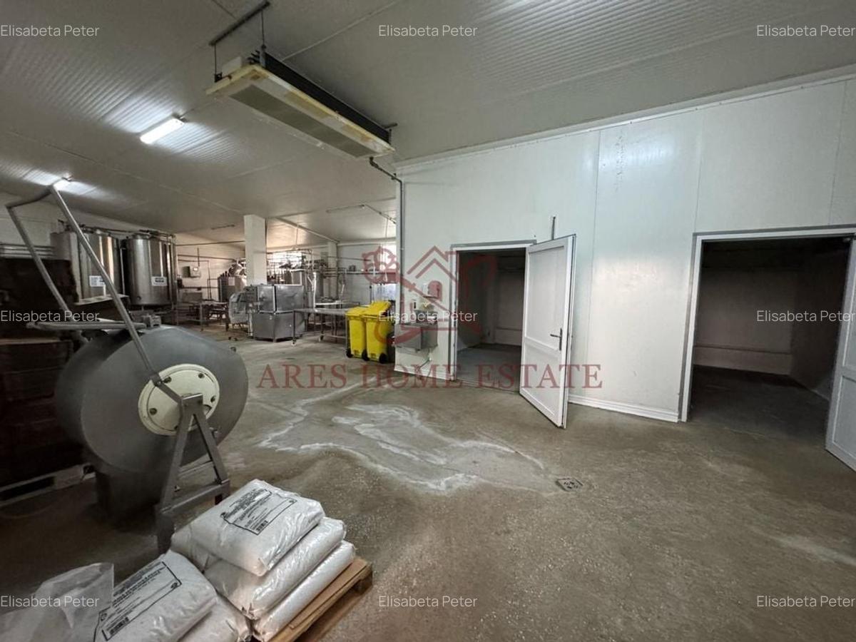 Spațiu industrial, 1200 mp în Bucovăț (Remetea Mare) - 9