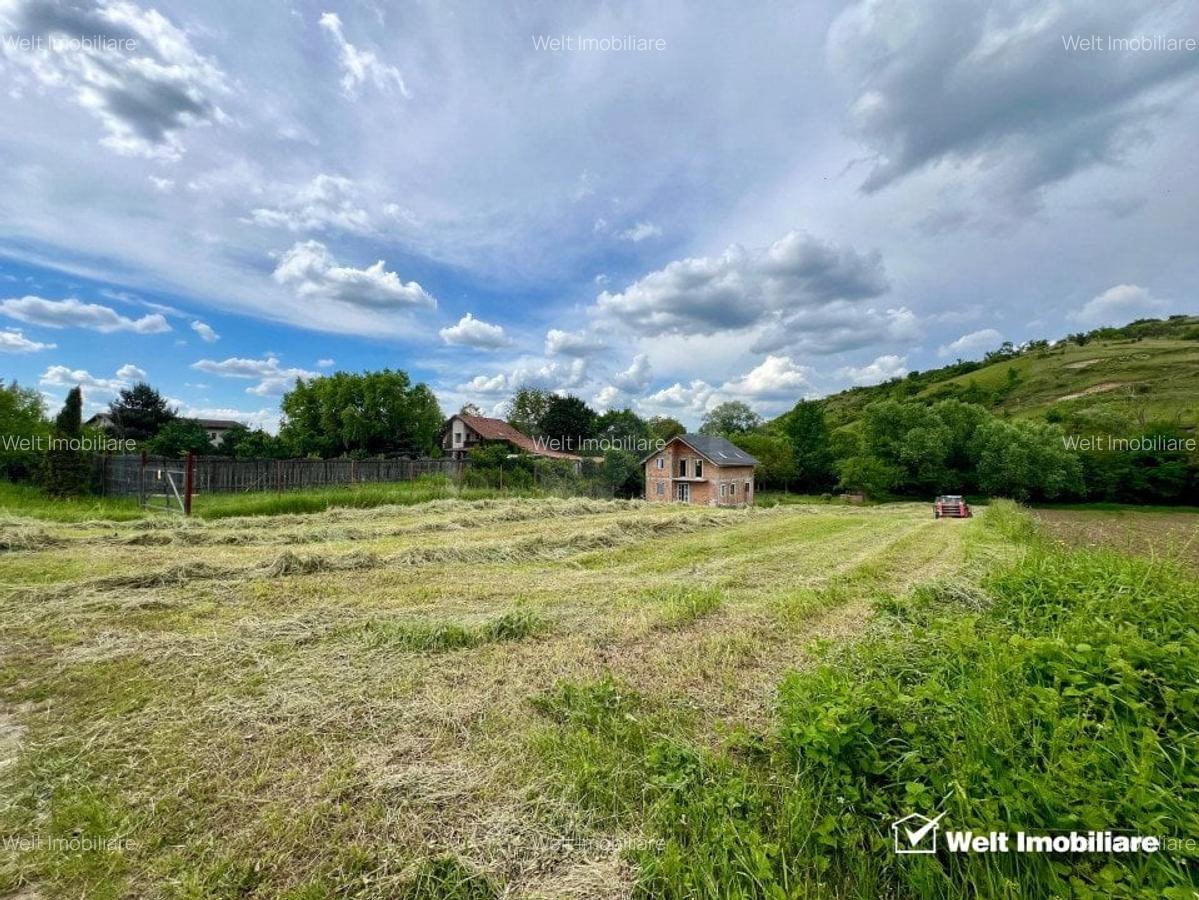 Oportunitate investitie, teren pentru casa, Vlaha - 2