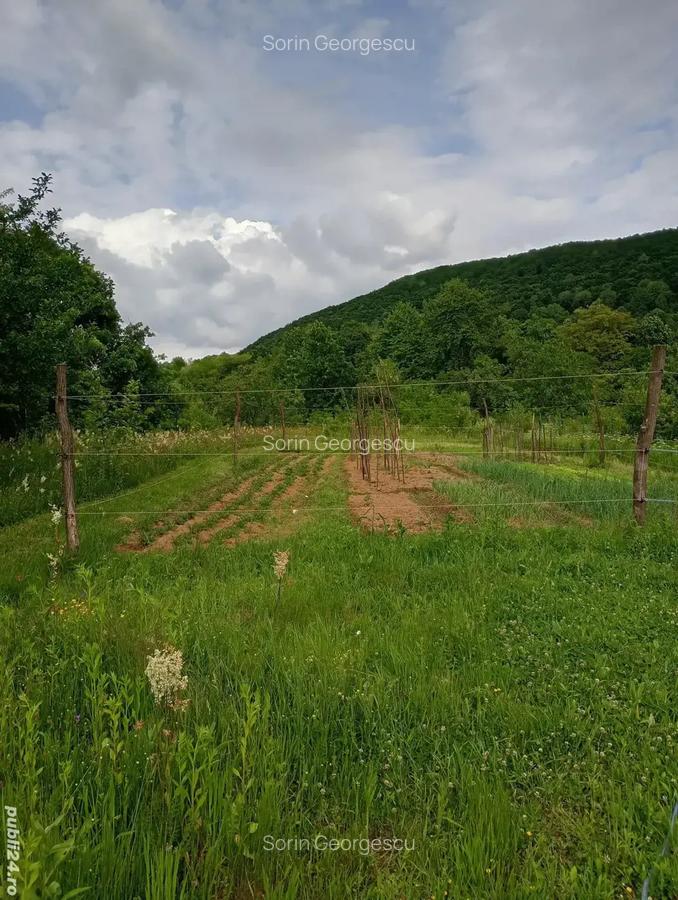 Vand teren si cabana - 7