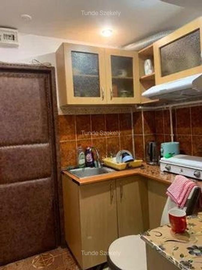 Apartament 1 camere, etaj intermediar, zona - 5