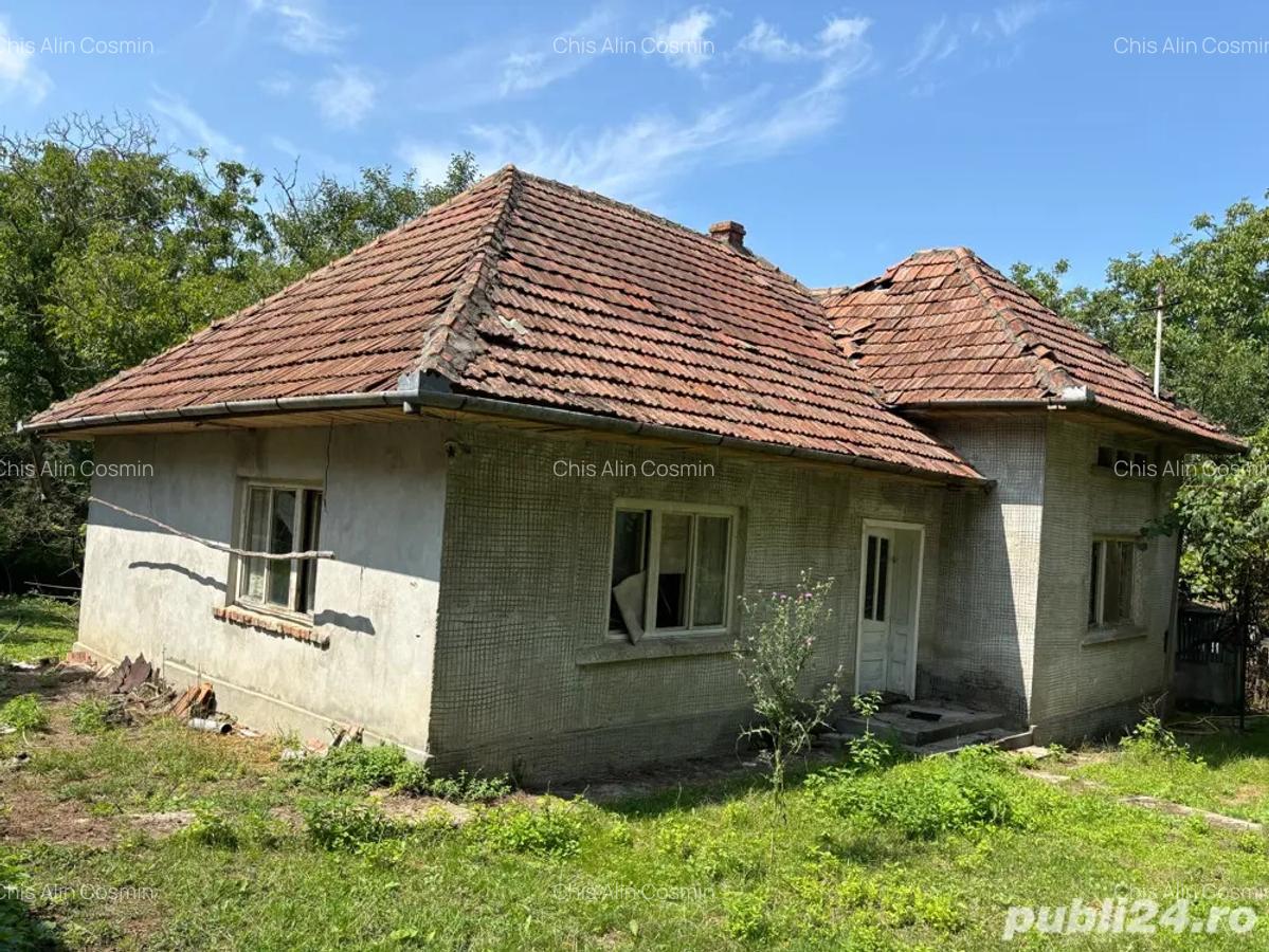 Casa de vanzare in localitatea Vicea - 1