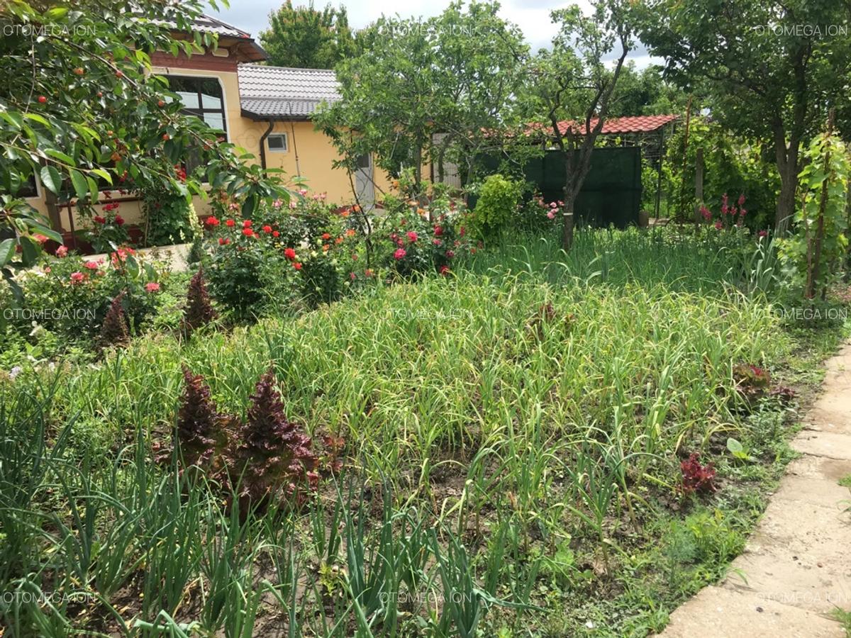 Casa de vanzare la cheie Comuna Traian, Jud. Teleorman - 7 Casa de vanzare la cheie Comuna Traian, Jud. Teleorman - 7