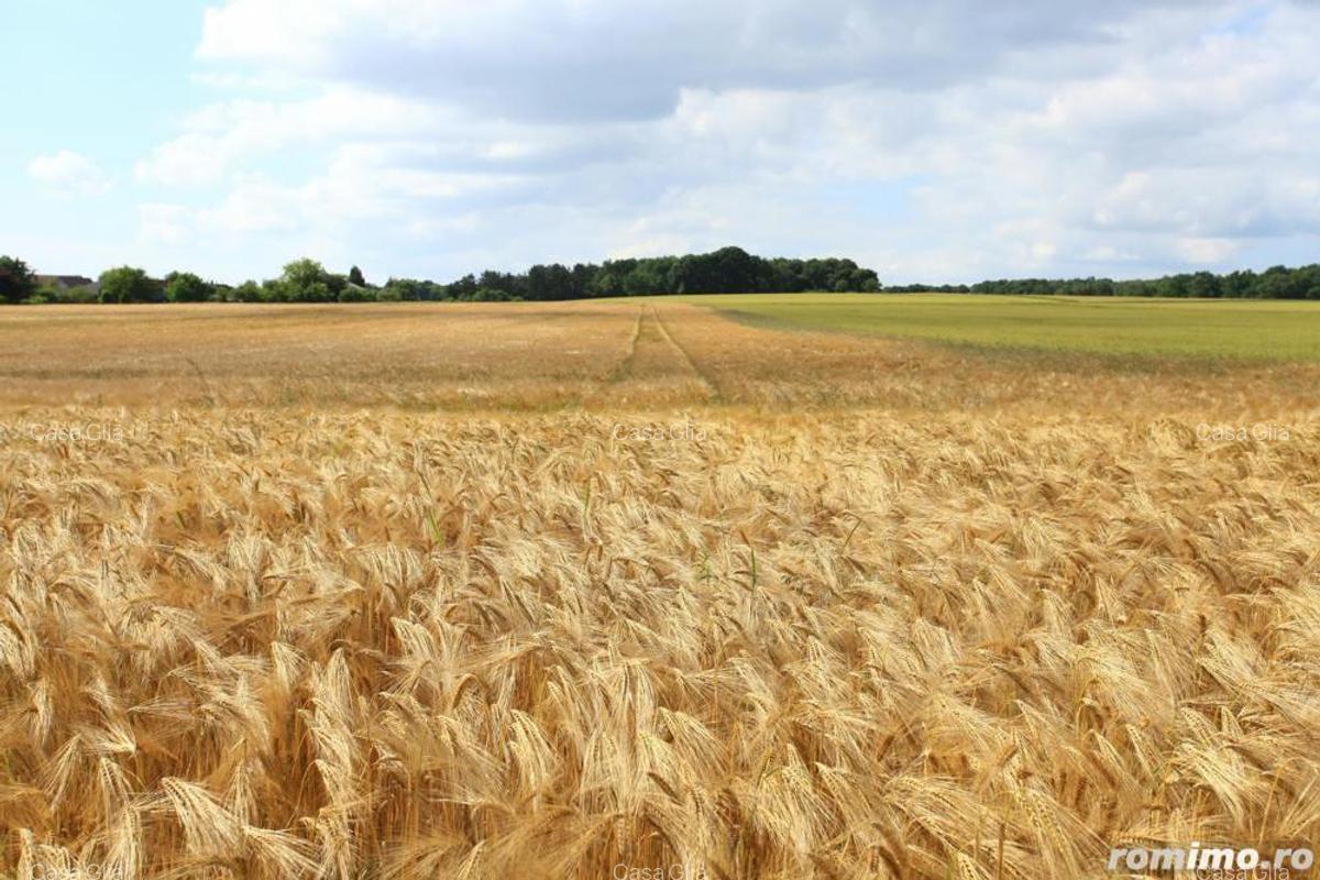 Teren 5 hectare la E68 loca?ie excelenta Arad - 1