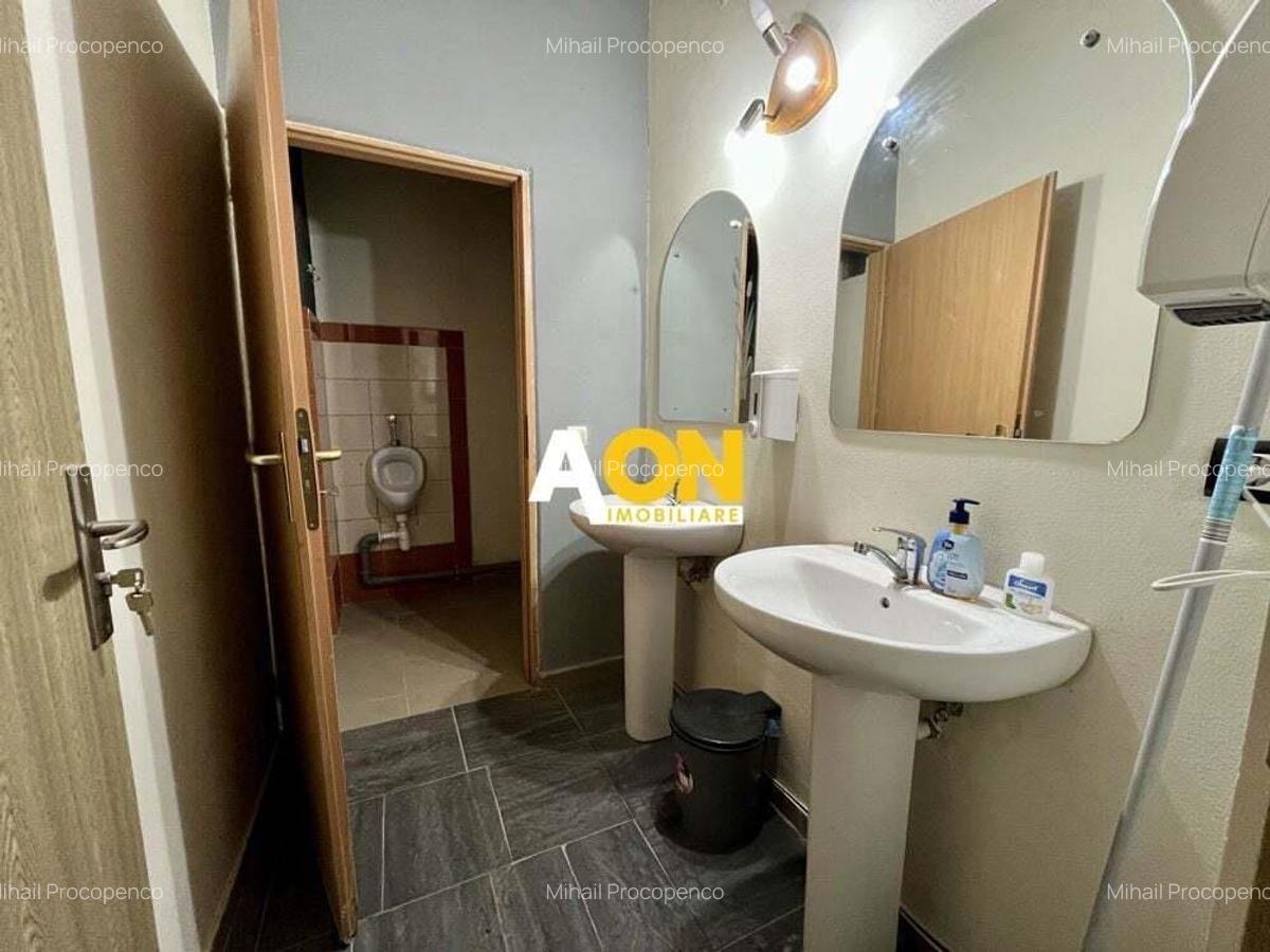 Spa?iu Comercial, Zona Alba - Mice?ti - 11