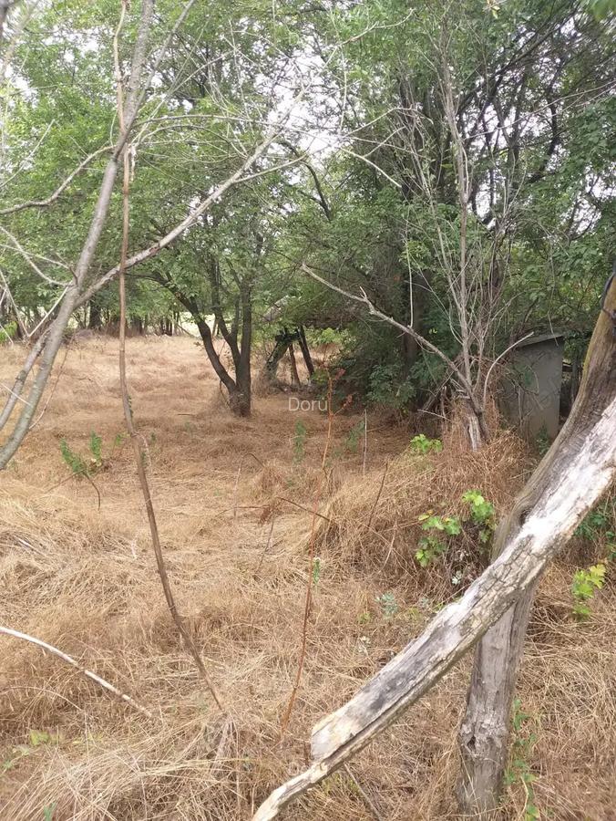 Oferta Teren 5000 MP + Casa batraneasca de Vanzare in Comuna Dragane?ti, Prahova - 5