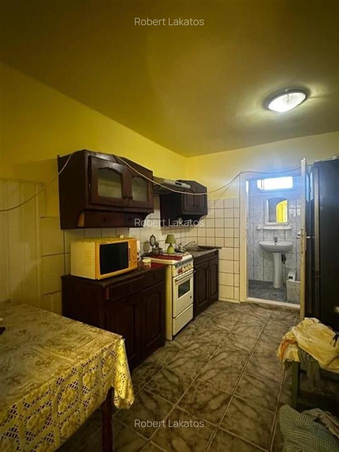 Reco Casa cu teren in Uileacul de Beius - 7