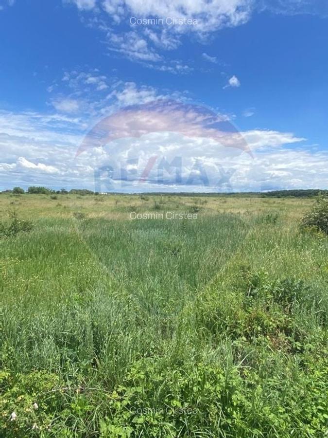 DE VANZARE Teren 5,000mp Sisesti Drumul Piscul Mosului - 9