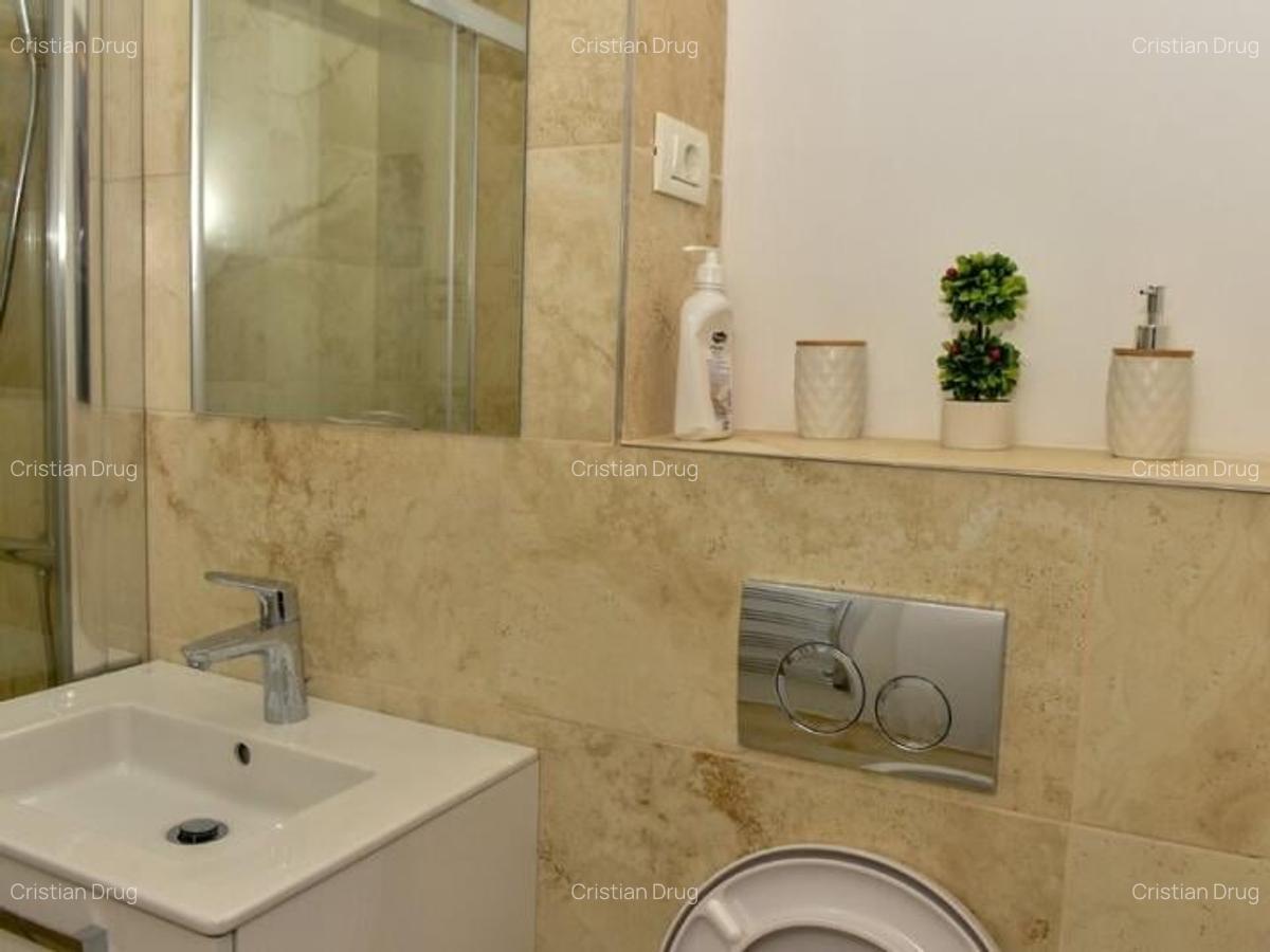 Apartament 2 camere Nicolae Grigorescu - 13