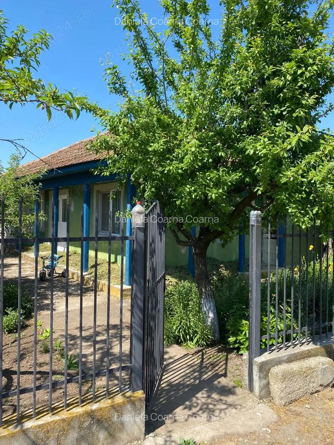 Casa la ?ara cu teren 1000 mp + posibilitate teren suplimentar 1922 mp Baneasa, judetul Giurgiu - 8