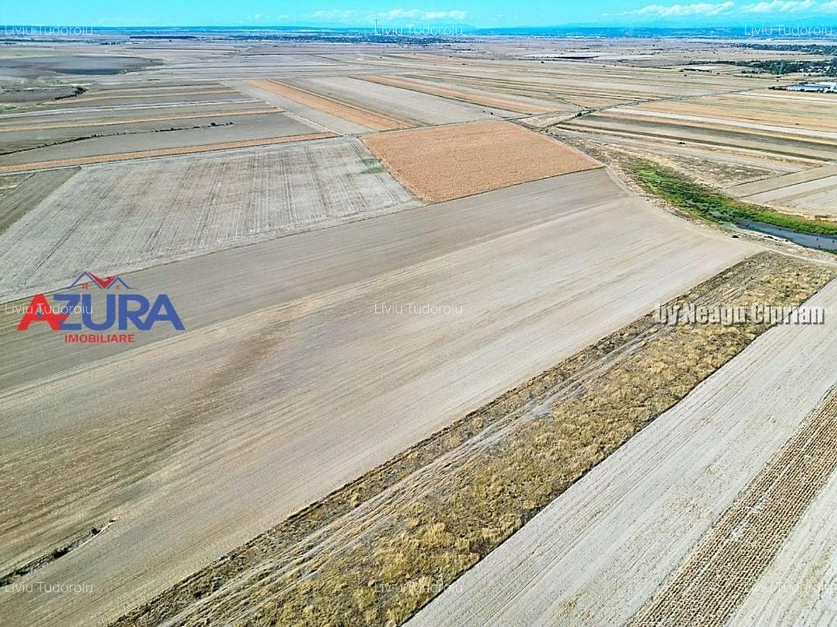 Teren agricol, 5HA, comasat, drum acces, Cateasca - 1